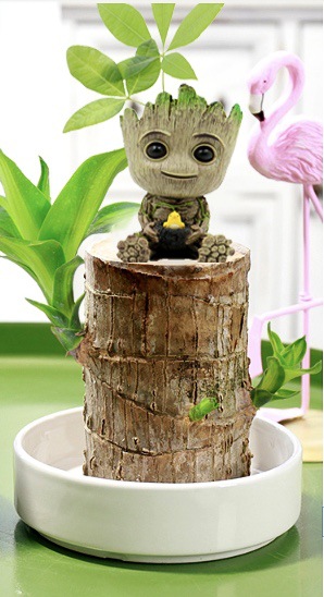 Factory Direct Sales Galaxy Guard Flowerpot Tree Man GRUIT Figurine Garage Kits Bird Nest Sitting Position Small Tree Man