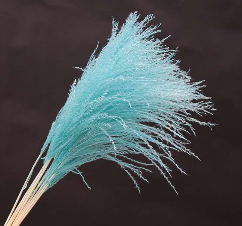 干花拂尘家居插花拍摄道具花材花束配花10枝装