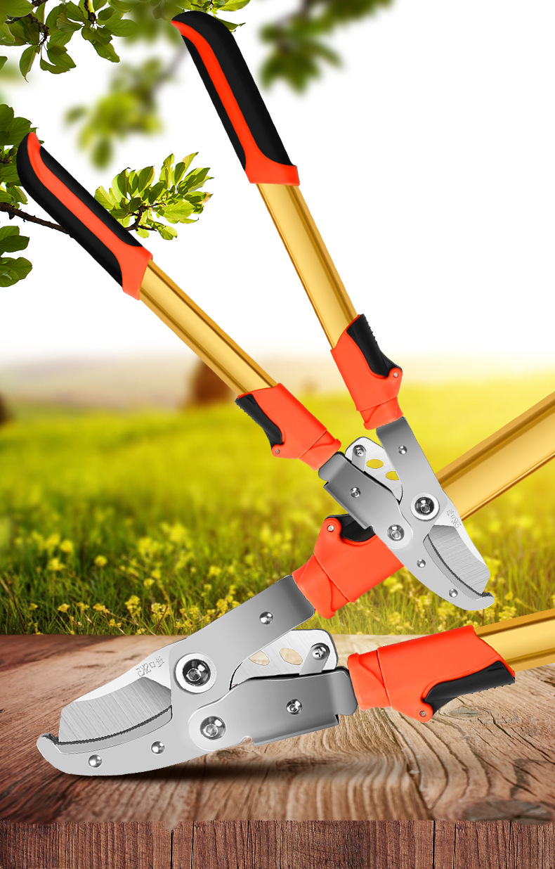 黄师傅粗枝剪修枝剪刀省力工具剪修花枝剪园艺园林树枝果树高枝剪