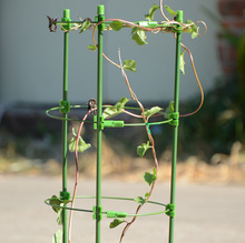 园艺花支架家用爬藤架室内盆栽植物绿萝固定铁环花架月季花支柱