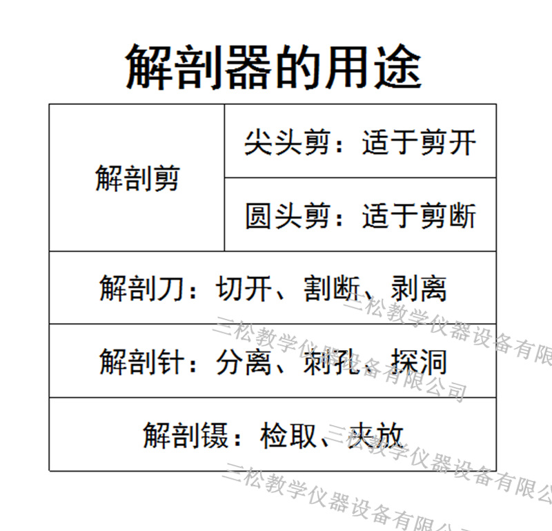 七件套 学生生物解剖用具套装 生物教学 标本制作工具套装 解剖器