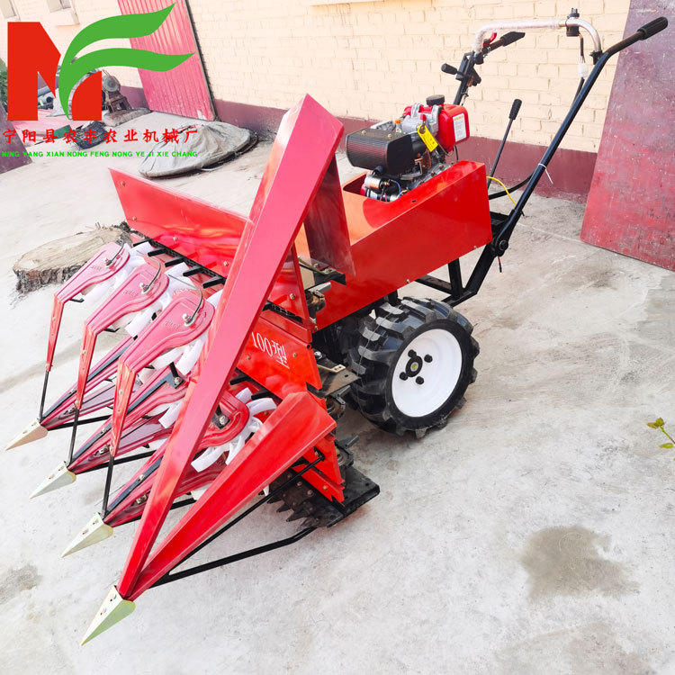 芦苇收割打捆机 小型全自动自走式三轮蒲草 小麦割捆机 厂家-报价