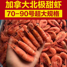 源头厂家批发国王加拿大甜虾北极虾5斤冷冻深海冰虾甜虾水产海鲜