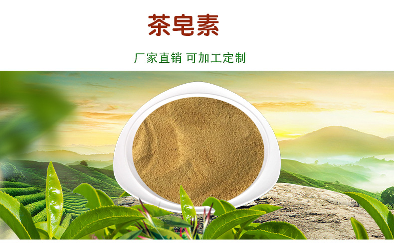 茶皂素90% 植物茶树籽提取物 tea saponin 茶皂素粉末 水溶性