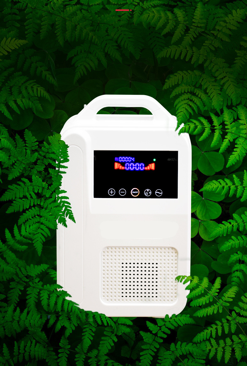 家庭室内氧吧小型负离子氧吧供氧机户外车载增氧仪汽车净化空气器