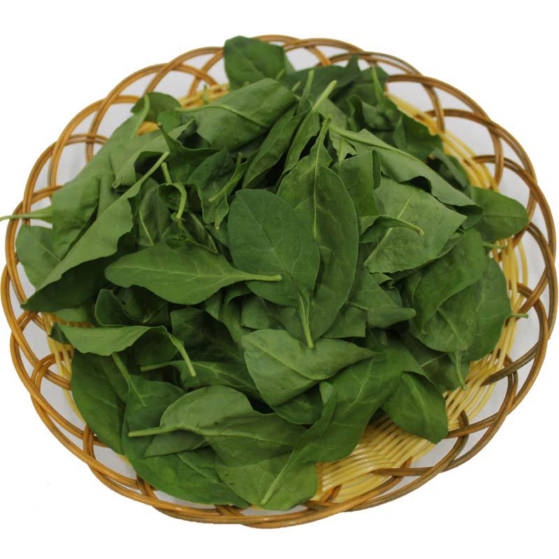 4斤包邮带枝枸杞叶新鲜枸杞嫩芽尖枸杞菜煮汤蔬菜批发社区现货