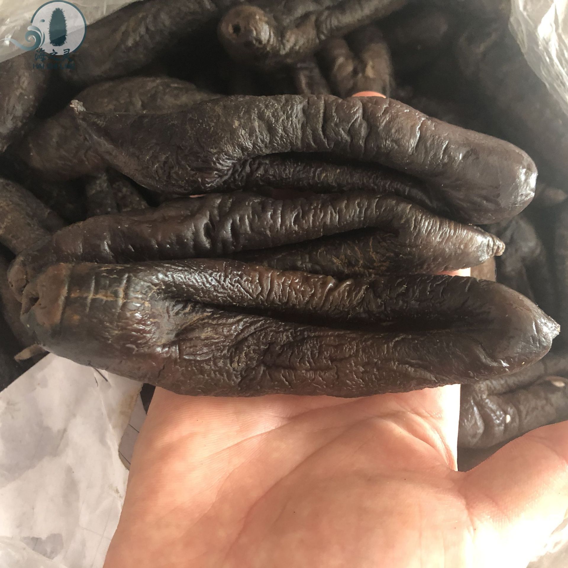 茄参批发海茄子参去泥去皮茄参地瓜参大乌茄参17头淡干肚子干净