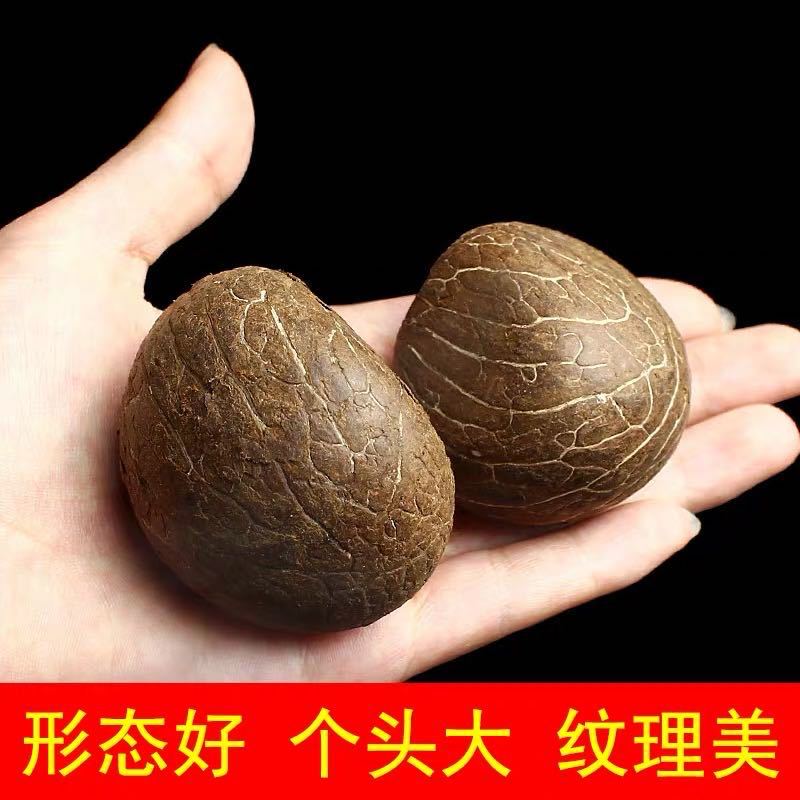 艺然文玩特大象牙果原籽原料大中果核手把件佛珠手串念珠钥匙扣