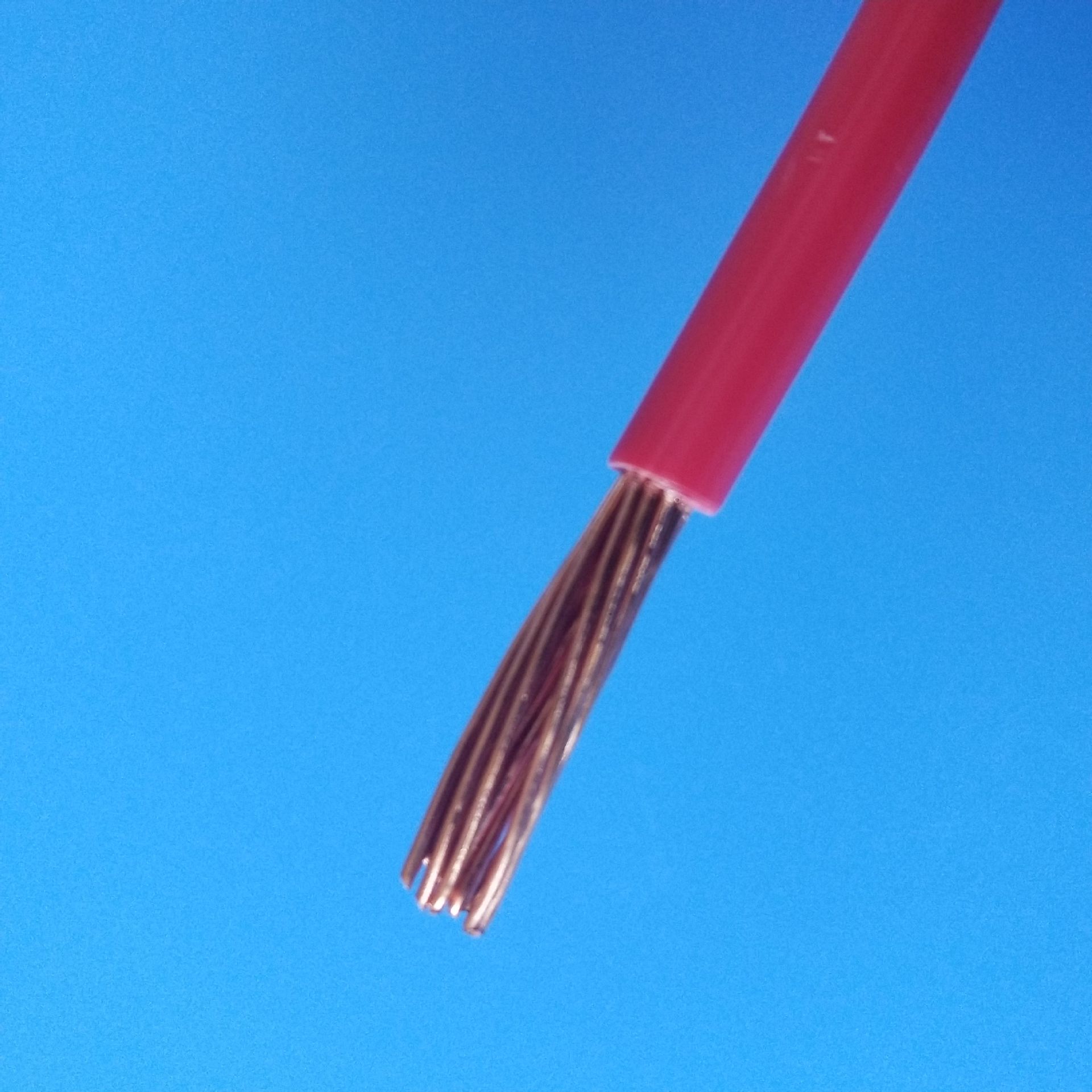 鑫园wdzb/ wdz-byjr-2.5 ryj 导线 上海电线厂 电线批发 阻燃电线