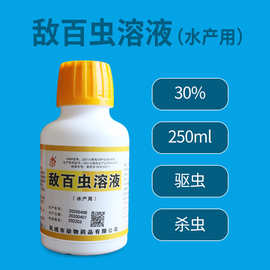 敌百虫溶液水族鱼缸专用杀虫药杀菌蒙眼充血鱼虱锚头鳋驱虫寄生虫