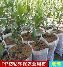 农业用布pp丙纶全新料 大棚园林除草布 铺路育苗抗老化纺粘面料