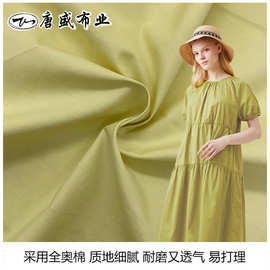 布料高支密60支水洗棉衬衫面料 纯棉布料批发童装亲肤棉绸现货