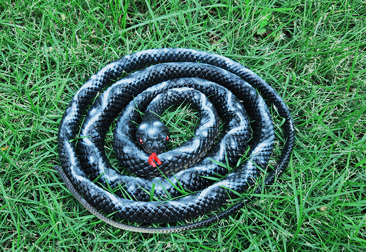 仿真玩具蛇整蛊吓人假蛇道具pvc塑胶硬蛇黑色大蟒蛇1.35米大花蛇