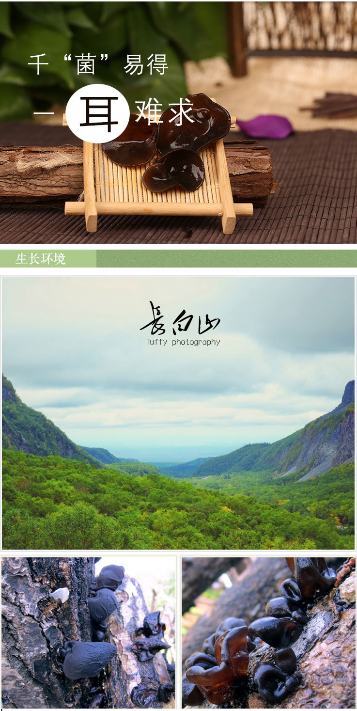 东北特产长白山黑木耳椴木木耳木耳秋木耳碗耳黑木耳