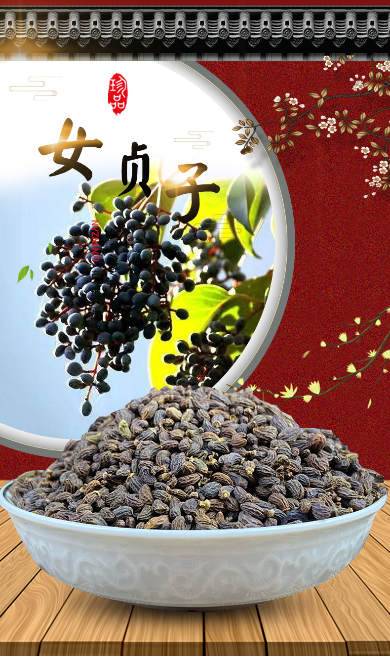 中药材女贞子 冬青子 颗粒饱满无杂 鸡腰形圆形