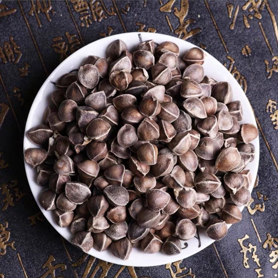 辣木籽印度进口食用辣木子茶中小果包邮