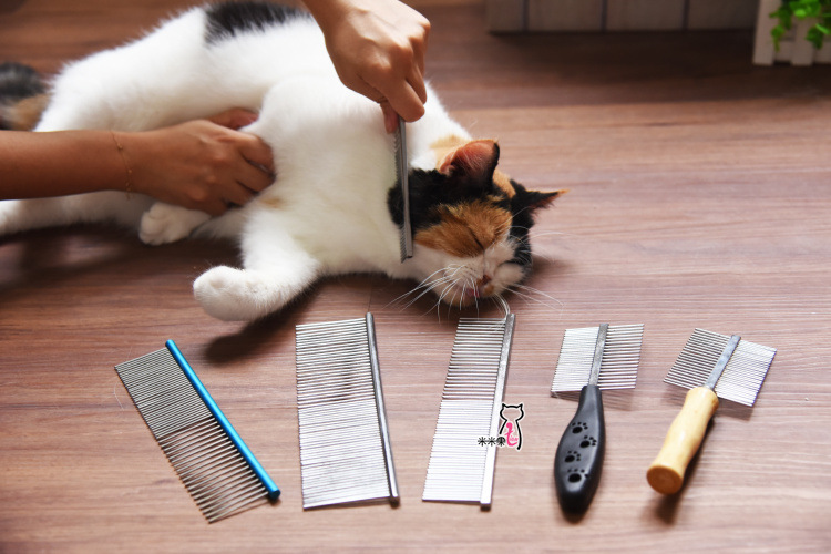 猫咪狗狗梳子宠物排梳梳理美容器材梳子宠物直排梳钢梳吸塑精装