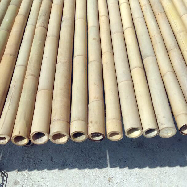 怀集县大厘竹茶竿竹装饰竹菜架竹箭竹滑雪杆竹竹签竹篱笆竹