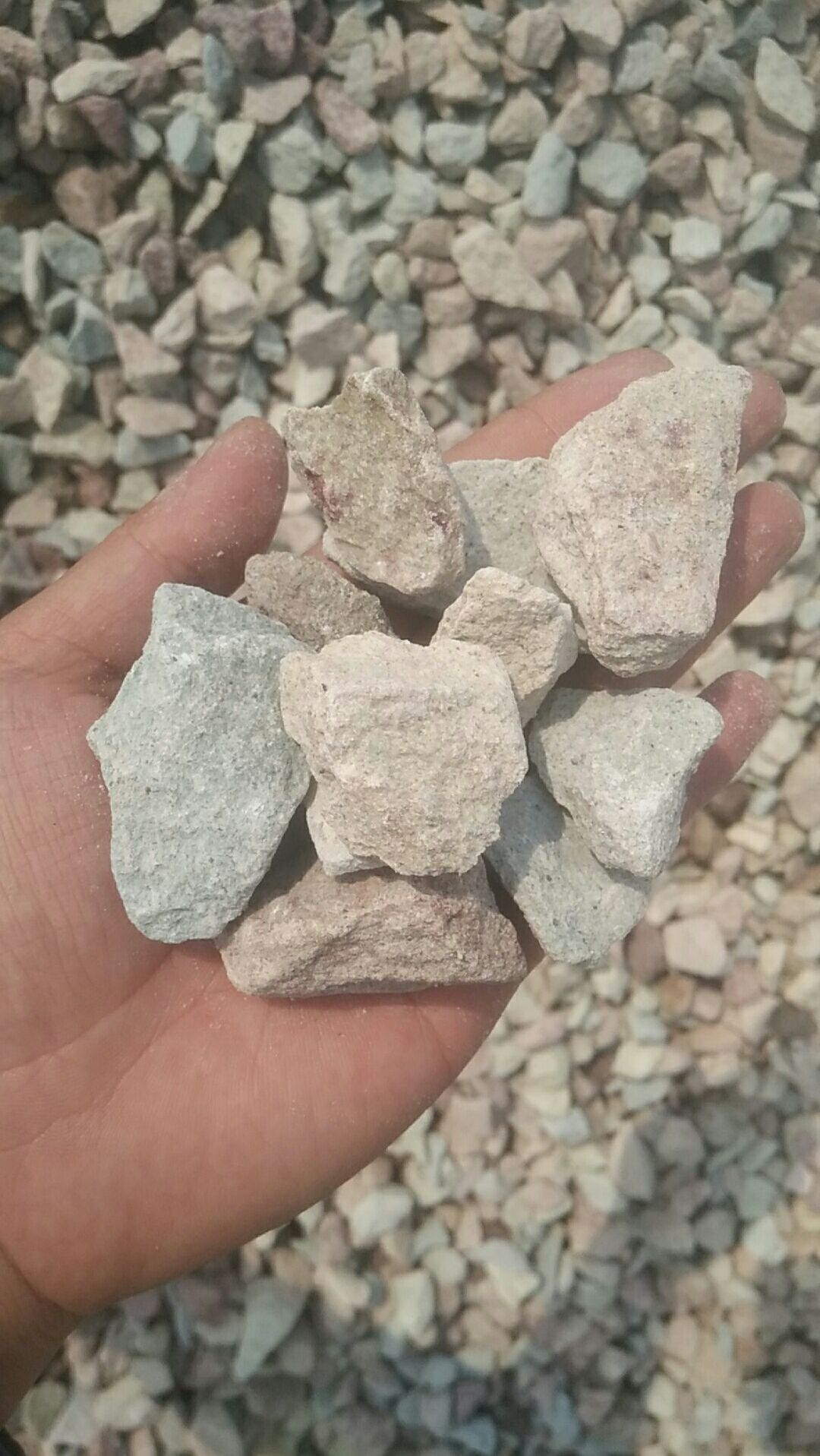 厂家直销 天然斜发沸石 各种规格 人工湿地河道治理专用沸石颗粒