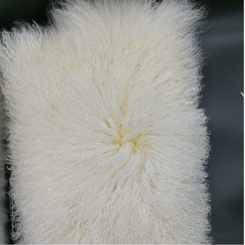 新品2020宁夏滩羊皮毛绵羊裘皮白色二毛皮长毛卷褥子毯子服饰保暖