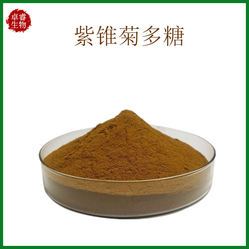 紫锥菊多糖含量80紫锥菊提取物紫锥菊浓缩粉现货