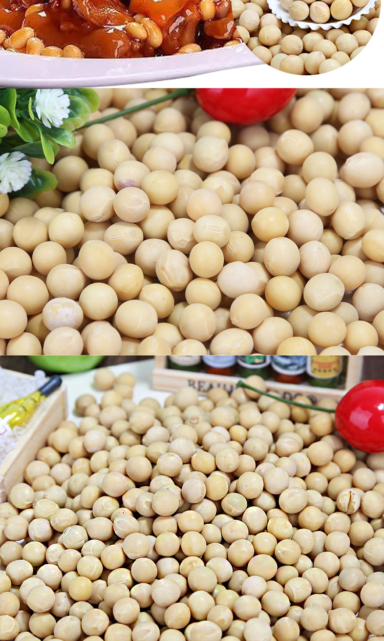 东北黄豆生黄豆浆豆大豆批发500g新货非转基因农家产粗粮五谷杂粮