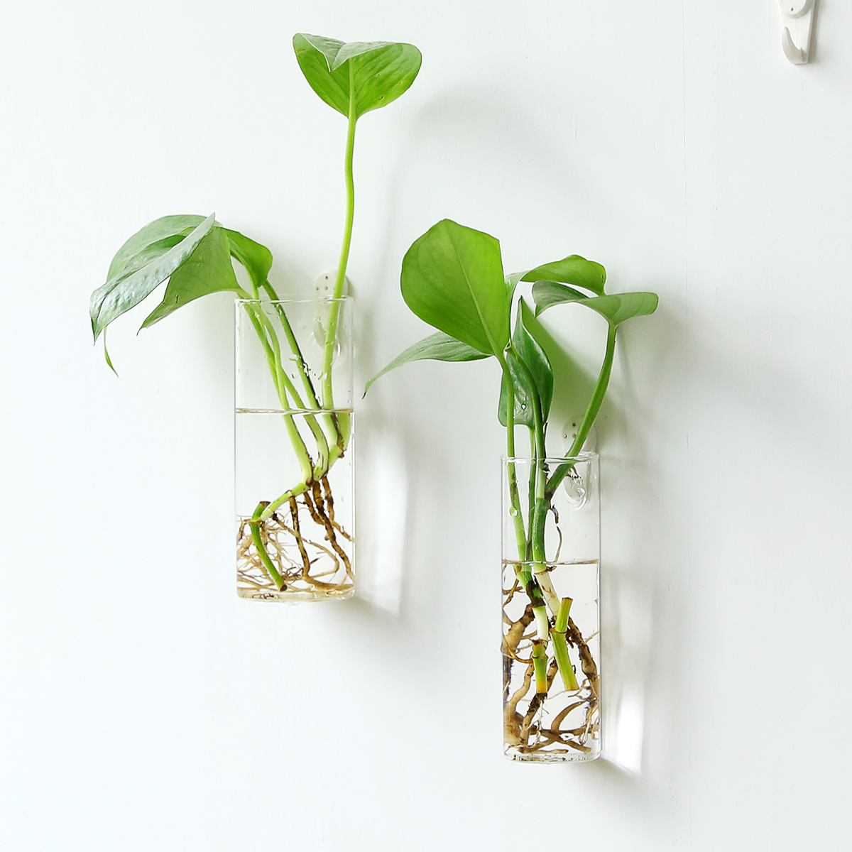创意欧式壁挂玻璃花瓶悬挂墙上水培圆柱植物容器家居墙面装饰挂件