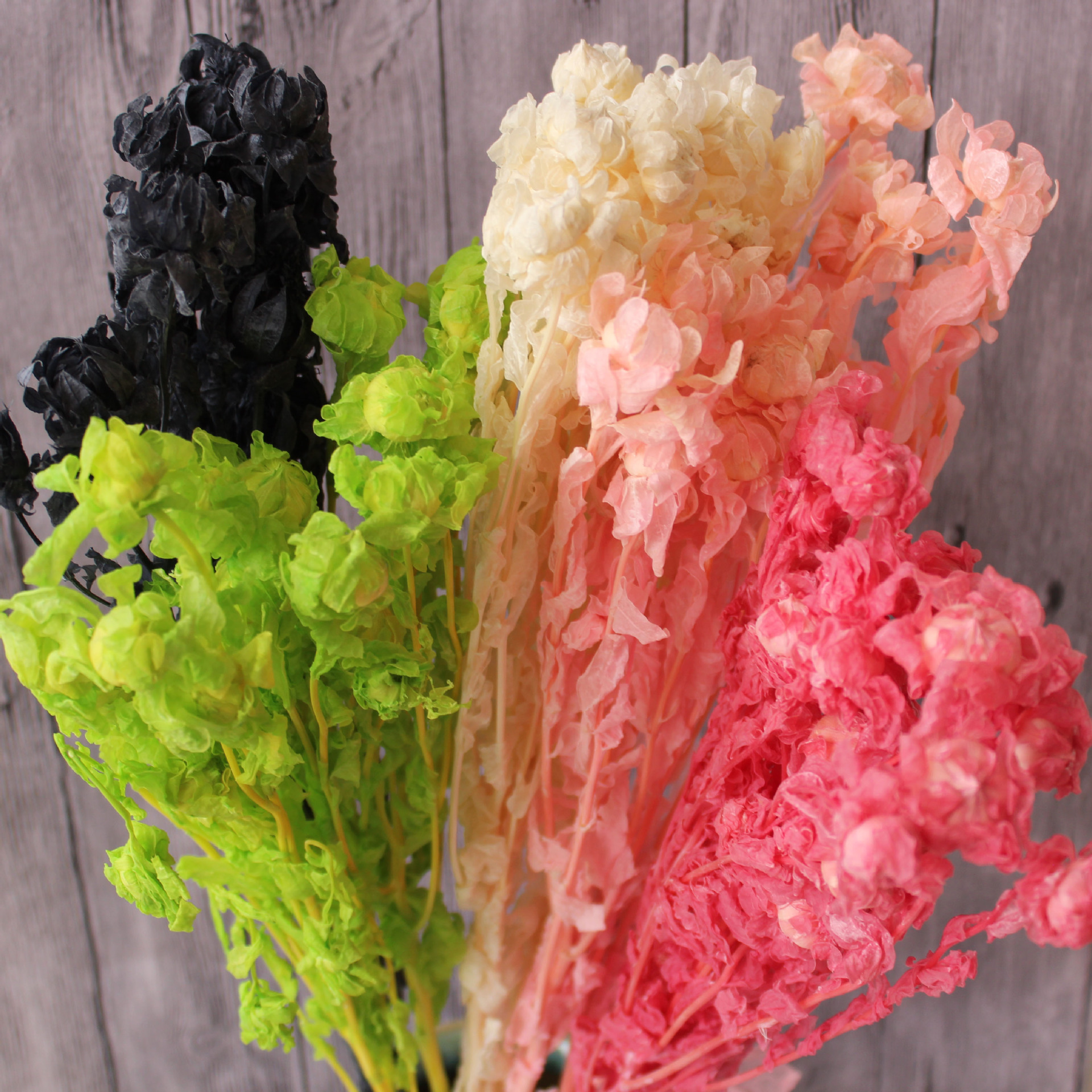 橙菠萝永生花藏红花长久保鲜diy材料云南花材基地直销