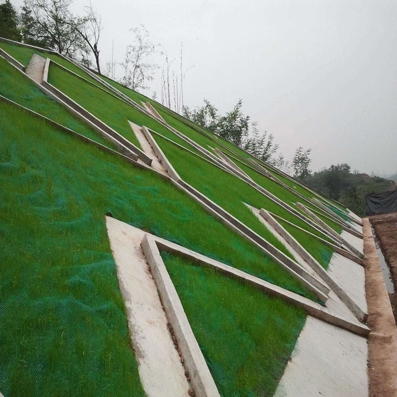 护坡植草公路三维工地网草坪覆盖植被护坡植草绿色园林绿化防尘用