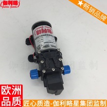上海微型隔膜水泵 220v微型自吸水泵 药泵高压打药机 粤