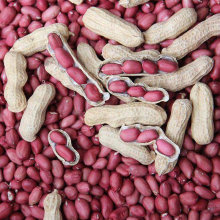 罗汉果手工脱壳花生种子春季黑花生原种四粒红花生种子粉白花生籽_阿