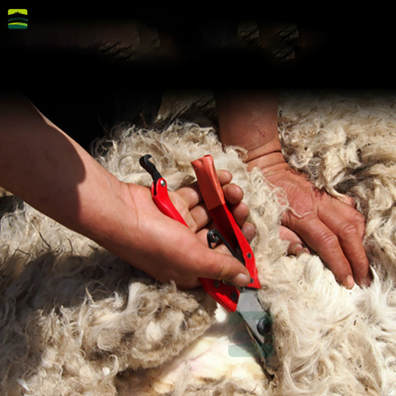 手动羊毛剪刀牛马鬃剪兔羊狗毛剪宠物剪马羊毛剪弹簧剪刀皮革剪子