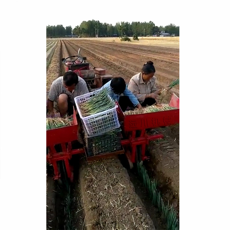 自走式大葱移栽机两行四行插葱机一天可栽20亩农用大葱种植机