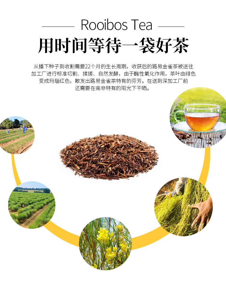 南非国宝茶,又称路易金雀,路易博士,路易波士茶,红茶细切散茶