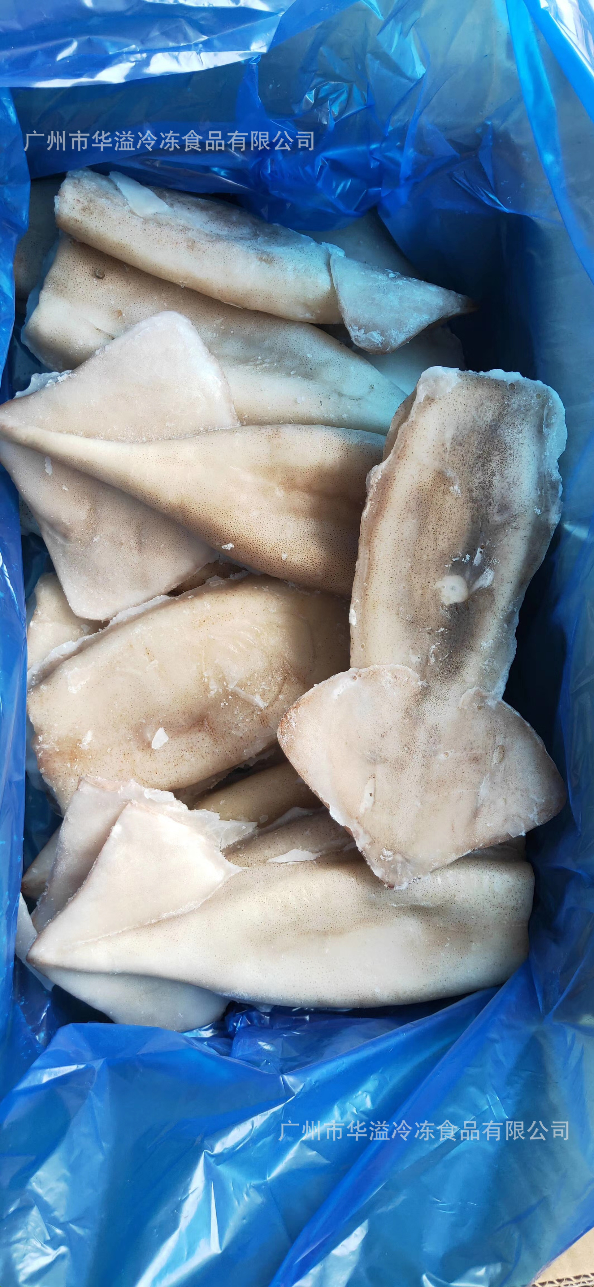 单冻大鱿鱼筒 无冰8斤/件 广州批发速冻鲜鱿鱼 阿根廷去头鱿鱼筒