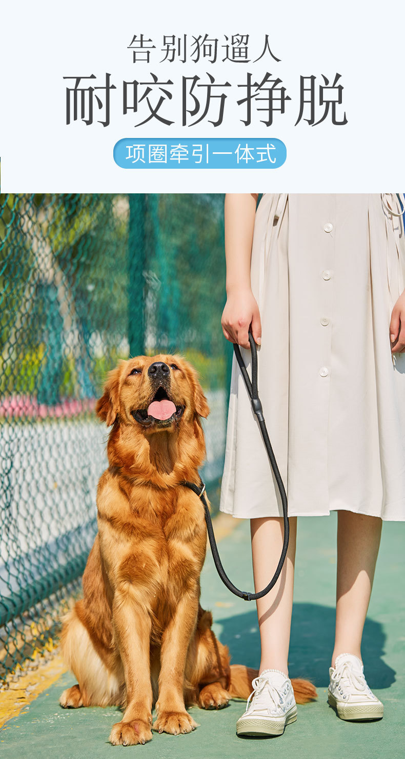 狗狗牵引绳尼龙耐拉宠物牵引绳p链牵引带 遛狗绳狗链 遛狗神器p绳