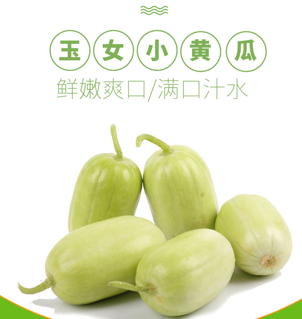 5斤顺丰~包邮 新鲜~拇指~黄瓜~~蔬菜~金童玉女~玉女瓜~黄瓜~~鲜