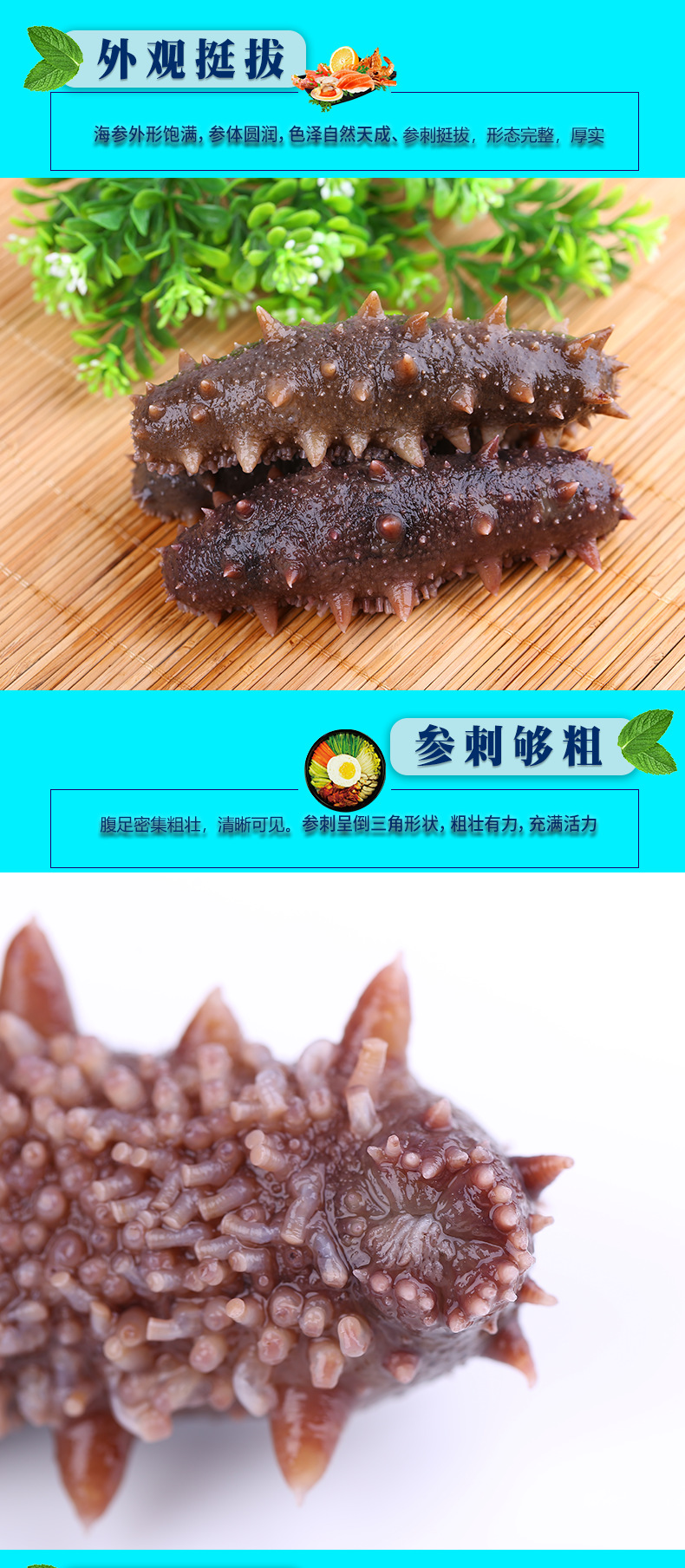 参灵岛即食大连海参海鲜工厂中科獐子港海参免泡发