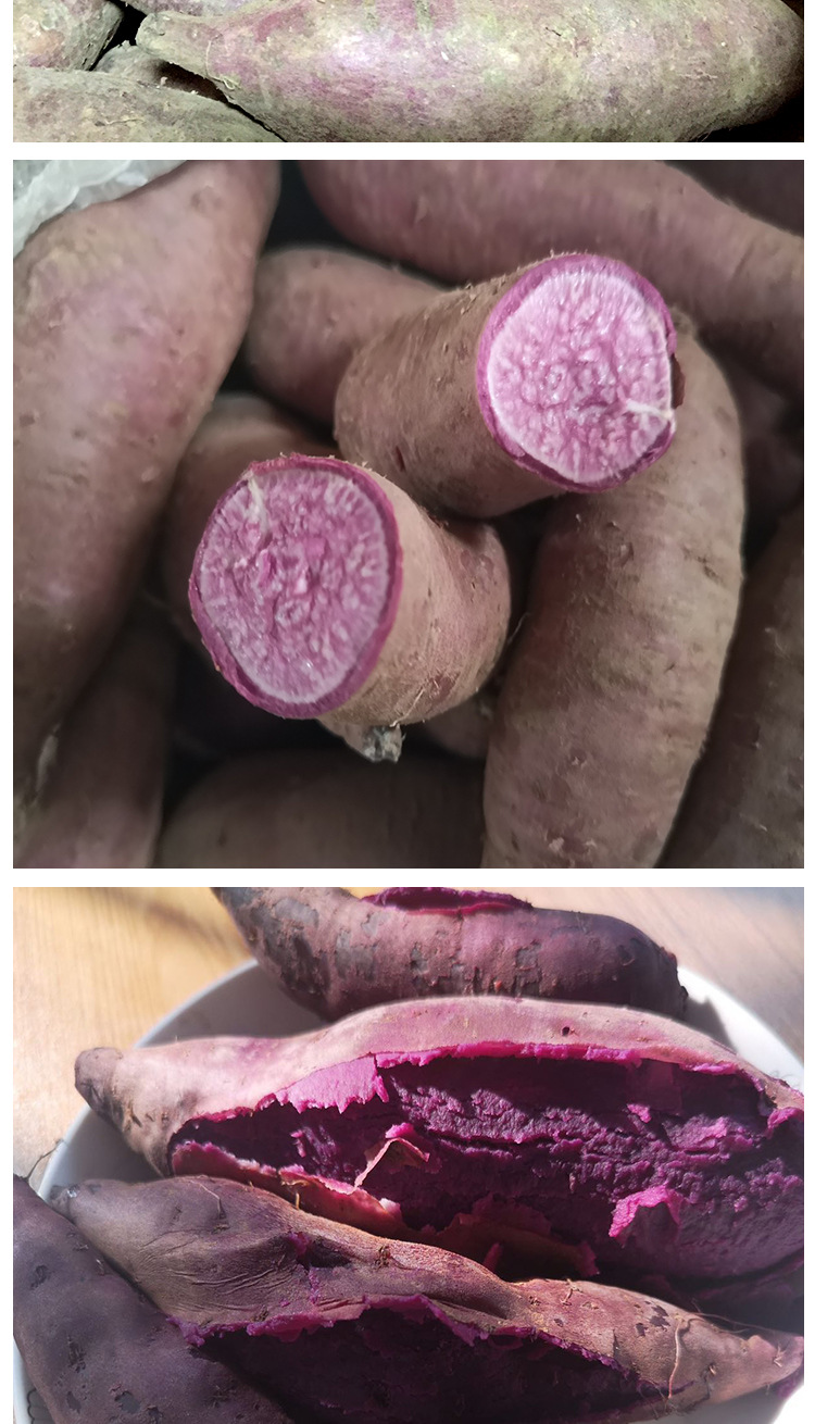 5斤 紫薯新鲜蜜甜板栗薯农家地瓜蔬菜现挖紫芋头自种小香红薯包邮