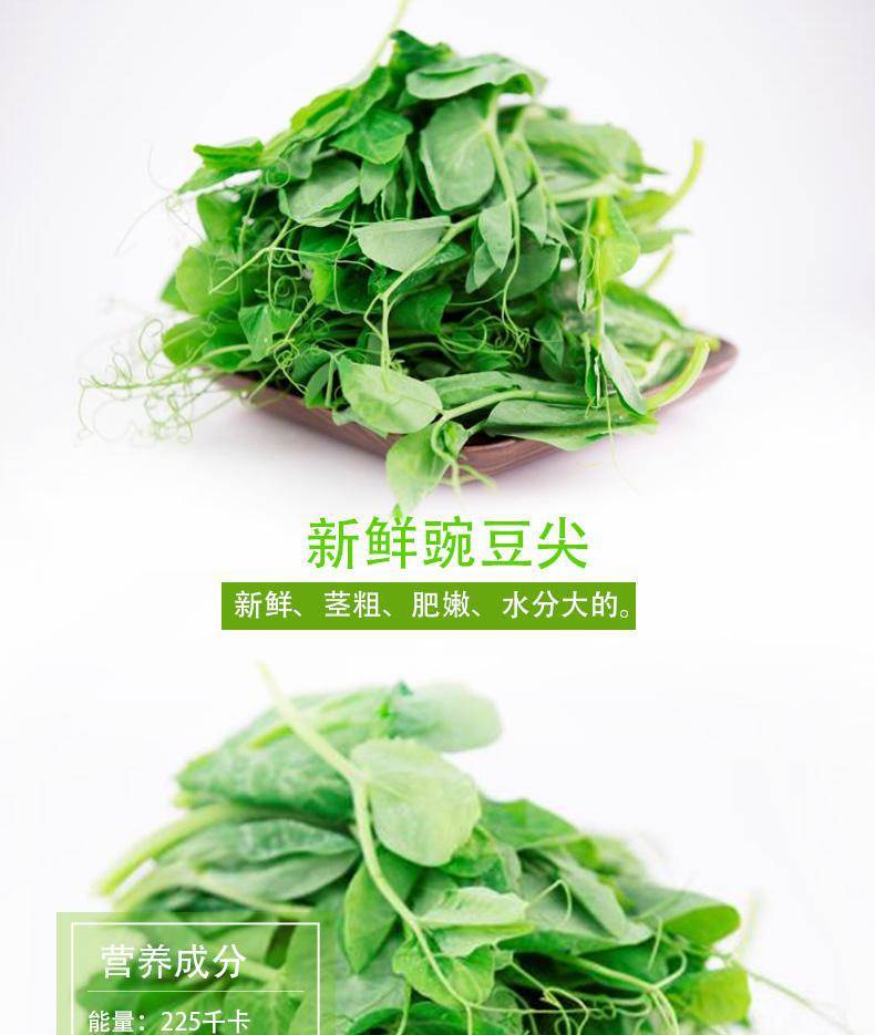 3斤包邮 新鲜豌豆尖现摘豌豆苗龙须苗蔬菜青荷兰豆苗当季农家特产