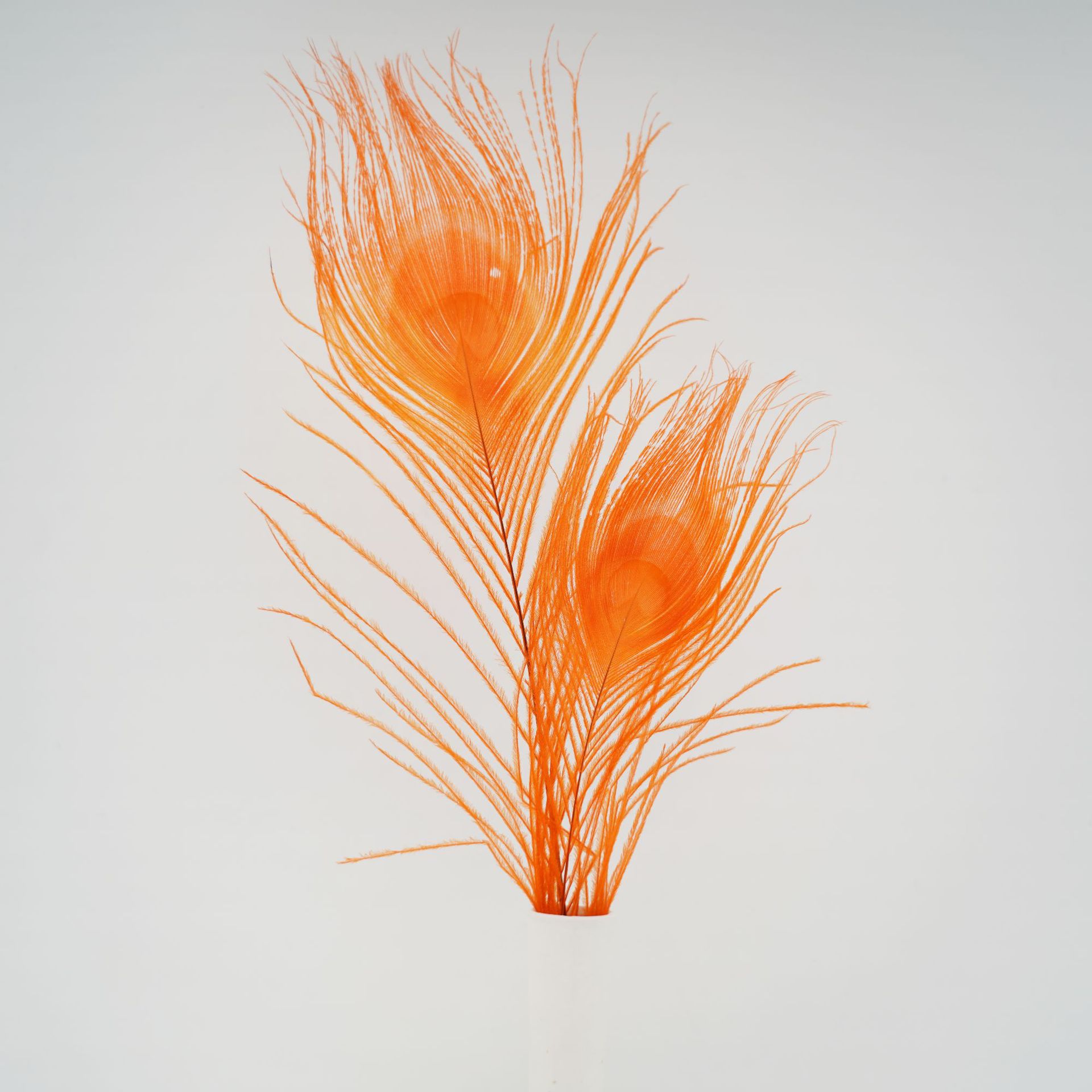 工厂供应白孔雀毛花瓶插花饰品配饰25-30cm蓝眼睛彩色孔雀羽毛