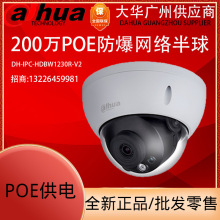 大华正品200万H.265防暴红外半球网络球摄像机 DH-IPC-HDBW1230R