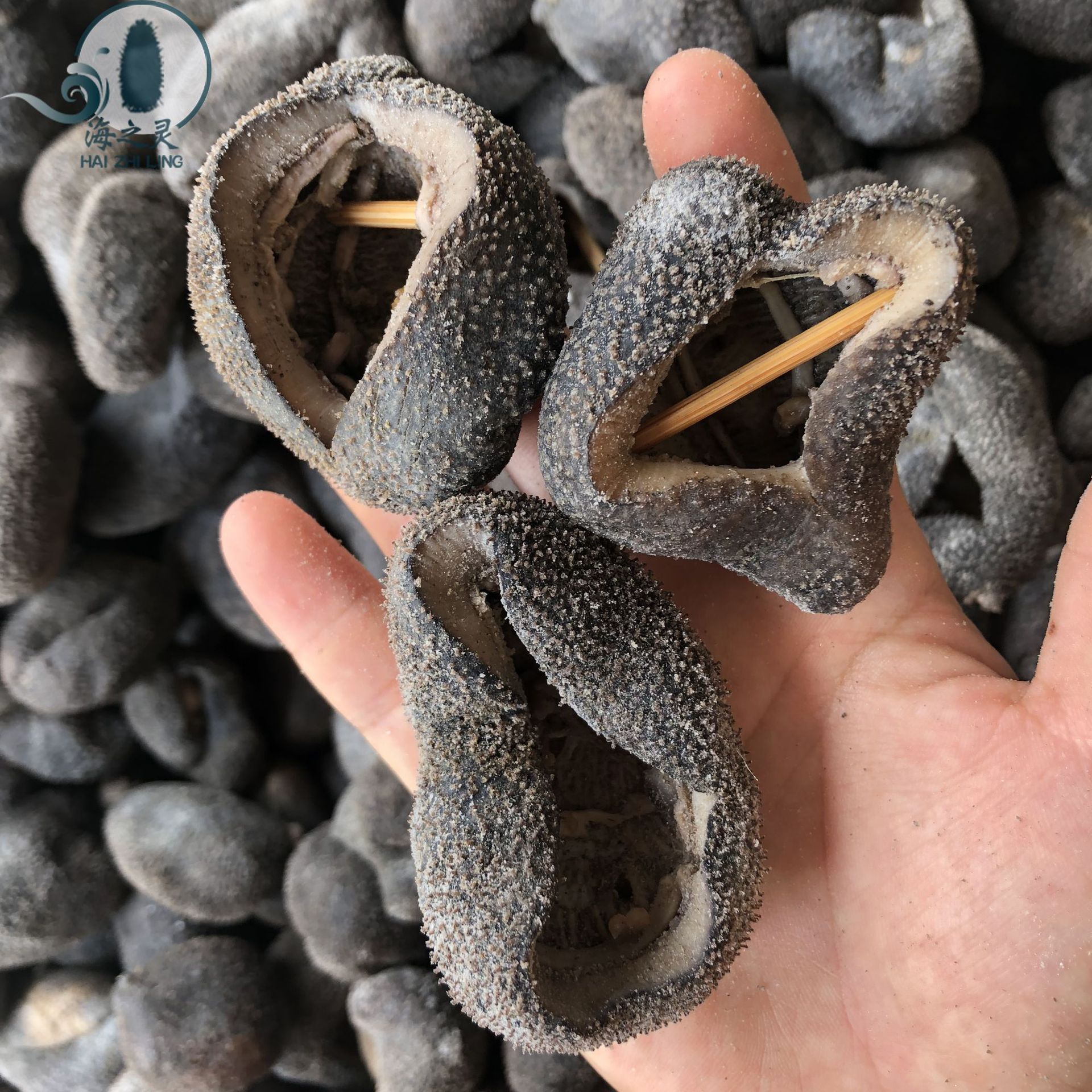 海之灵 全国批发球参15-16头500克 野生乌圆球参批发产地一手货源