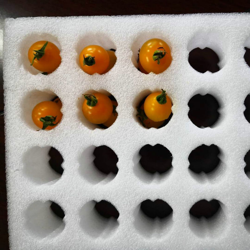 水果托系列包装盒箱子泡沫水果怕挤隔断托快递珍珠棉