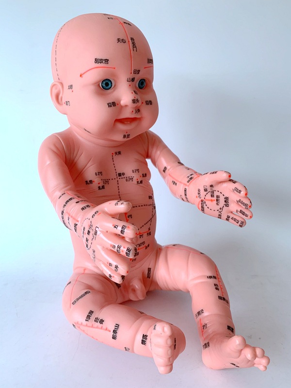 小儿推拿模型培训娃娃带穴位仿真按摩婴儿中医人体经络教学用全身