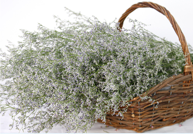 ins风干水晶花情人草满天星干花花束森系田园小碎花橱窗配草