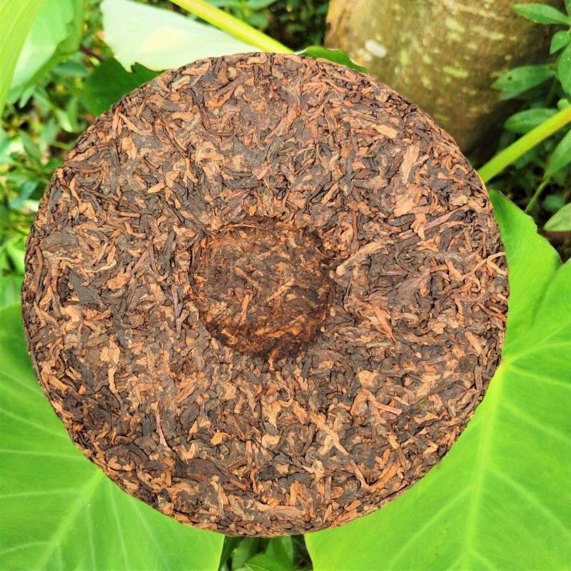 冰岛金芽熟饼 普洱熟茶云南金芽宫廷七子饼 乔木大叶种普洱茶