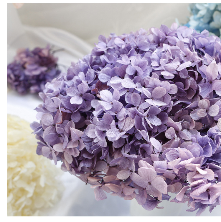 永生花亚特兰蒂斯绣球国产a级出口级绣球25-30克/盒配材diy手工