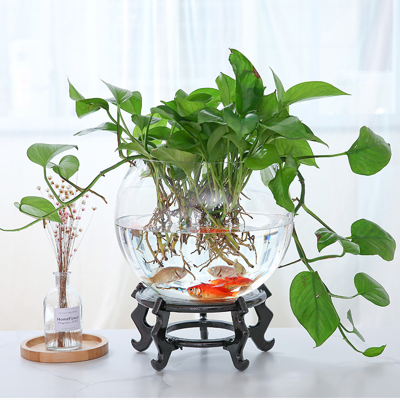 养鱼缸造景水缸草球形桌面家用小型客厅椭圆形玻璃玻璃免换水养鱼