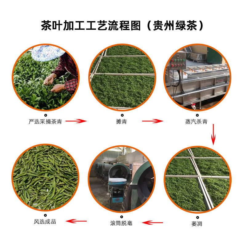 绿茶制茶过程图片